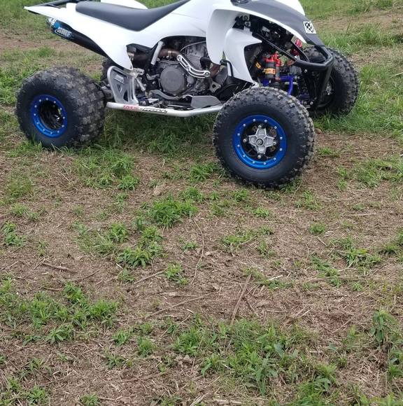 matt_loos